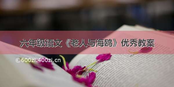 六年级语文《老人与海鸥》优秀教案