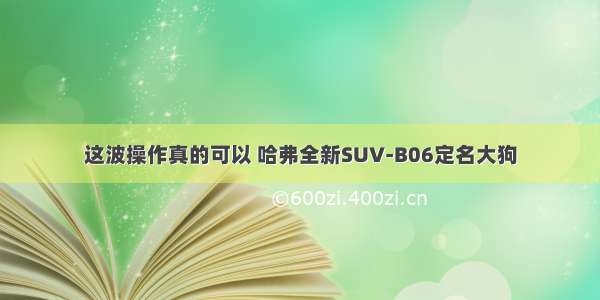 这波操作真的可以 哈弗全新SUV-B06定名大狗