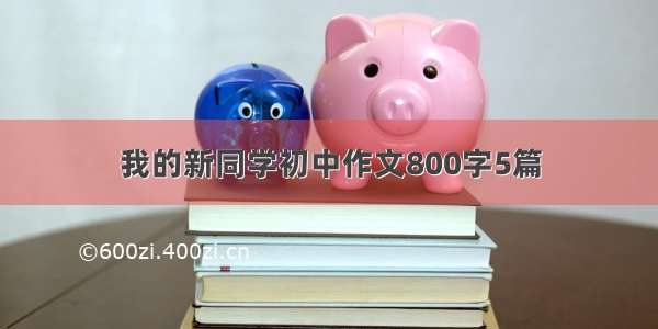 我的新同学初中作文800字5篇