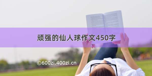 顽强的仙人球作文450字