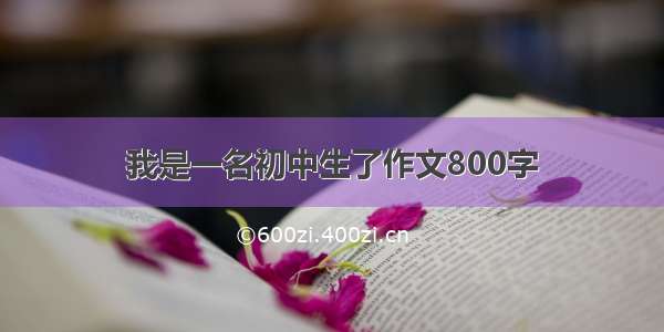 我是一名初中生了作文800字