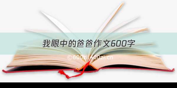 我眼中的爸爸作文600字