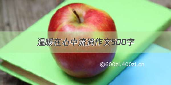 温暖在心中流淌作文500字