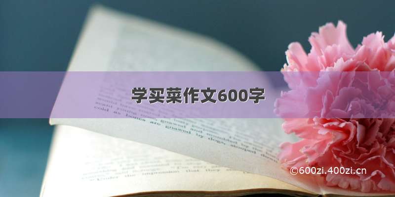 学买菜作文600字