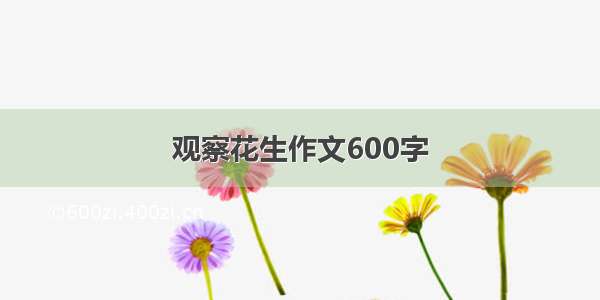 观察花生作文600字