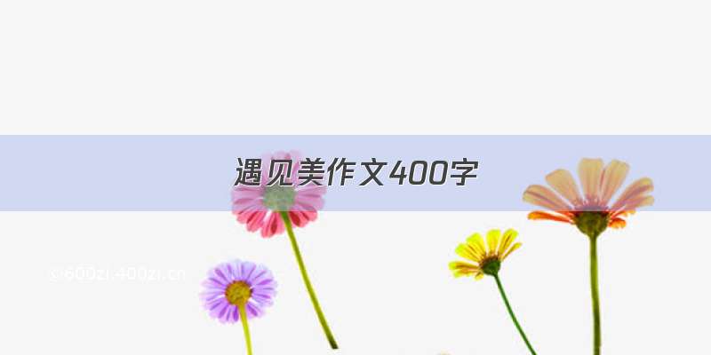 遇见美作文400字