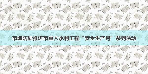 市堤防处推进市重大水利工程“安全生产月”系列活动