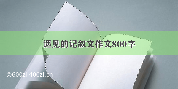 遇见的记叙文作文800字