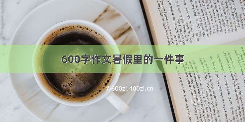 600字作文暑假里的一件事