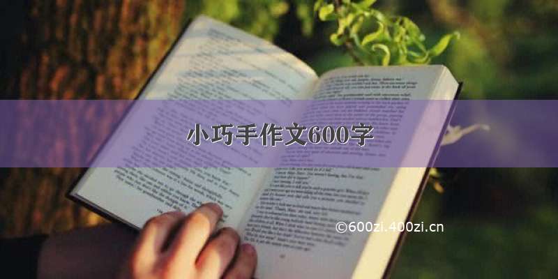 小巧手作文600字