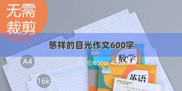 慈祥的目光作文600字