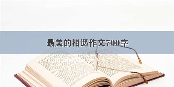 最美的相遇作文700字