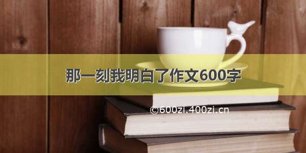 那一刻我明白了作文600字