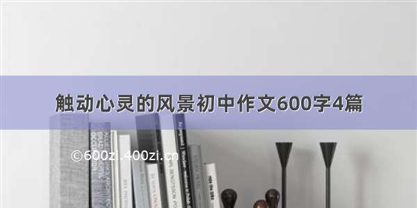 触动心灵的风景初中作文600字4篇