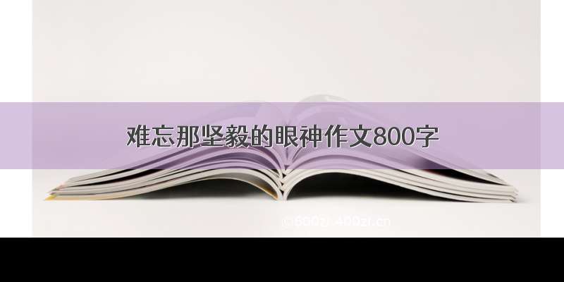 难忘那坚毅的眼神作文800字