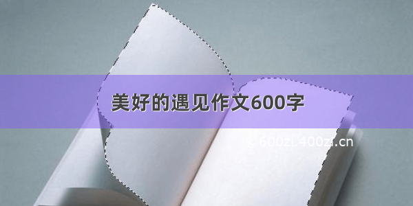 美好的遇见作文600字