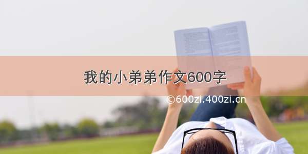 我的小弟弟作文600字