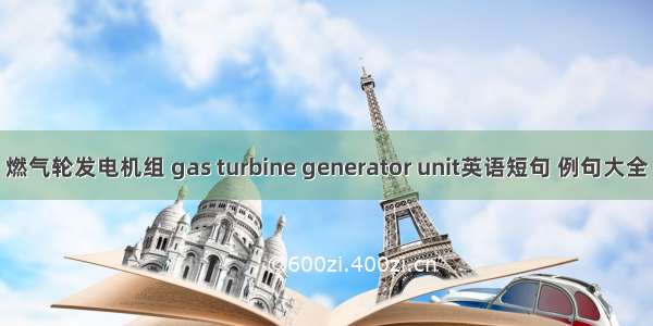 燃气轮发电机组 gas turbine generator unit英语短句 例句大全