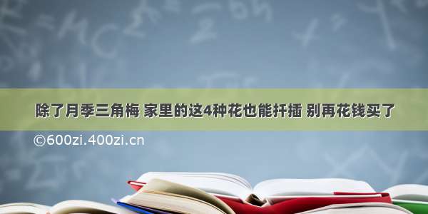 除了月季三角梅 家里的这4种花也能扦插 别再花钱买了