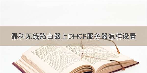 磊科无线路由器上DHCP服务器怎样设置