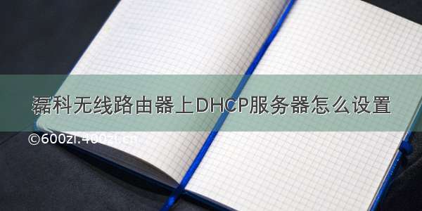 磊科无线路由器上DHCP服务器怎么设置