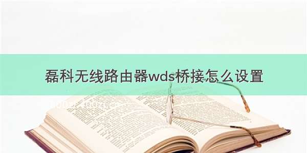 磊科无线路由器wds桥接怎么设置