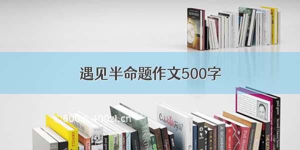 遇见半命题作文500字