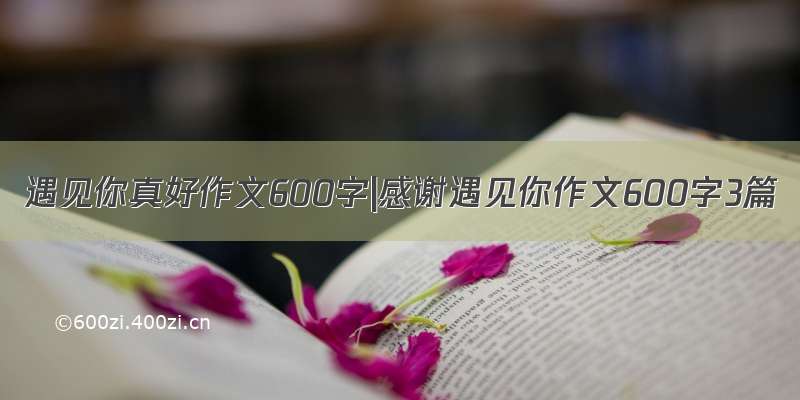 遇见你真好作文600字|感谢遇见你作文600字3篇