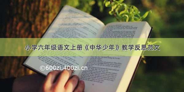 小学六年级语文上册《中华少年》教学反思范文