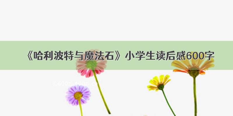 《哈利波特与魔法石》小学生读后感600字