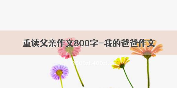 重读父亲作文800字-我的爸爸作文