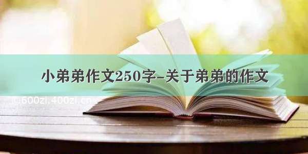 小弟弟作文250字-关于弟弟的作文