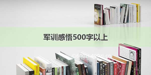 军训感悟500字以上