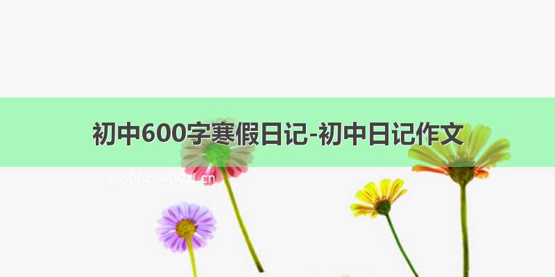 初中600字寒假日记-初中日记作文