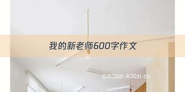 我的新老师600字作文