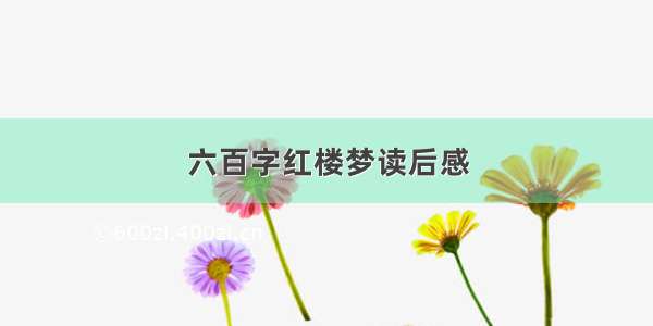 六百字红楼梦读后感