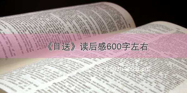 《目送》读后感600字左右