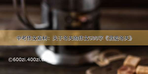 中考作文素材：关于冬天的作文500字《我爱冬天》