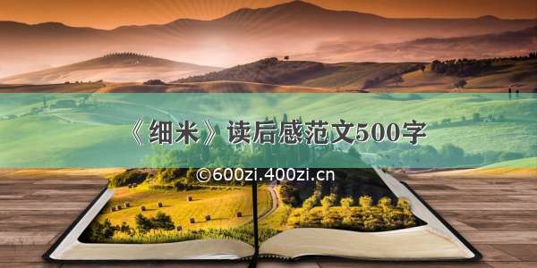 《细米》读后感范文500字