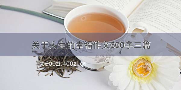 关于人生的幸福作文600字三篇