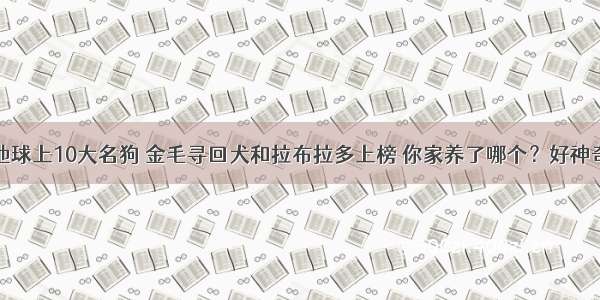 ​地球上10大名狗 金毛寻回犬和拉布拉多上榜 你家养了哪个？好神奇！