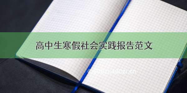 高中生寒假社会实践报告范文