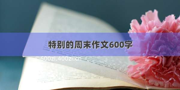 特别的周末作文600字