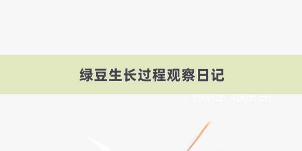 绿豆生长过程观察日记