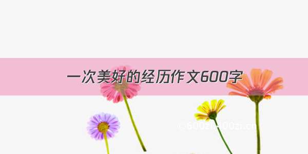 一次美好的经历作文600字