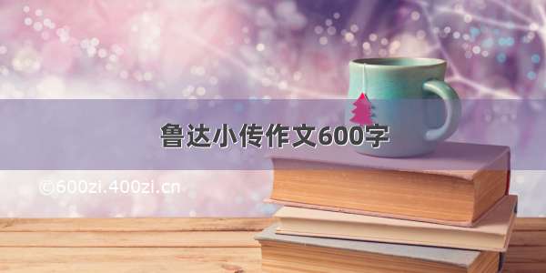 鲁达小传作文600字