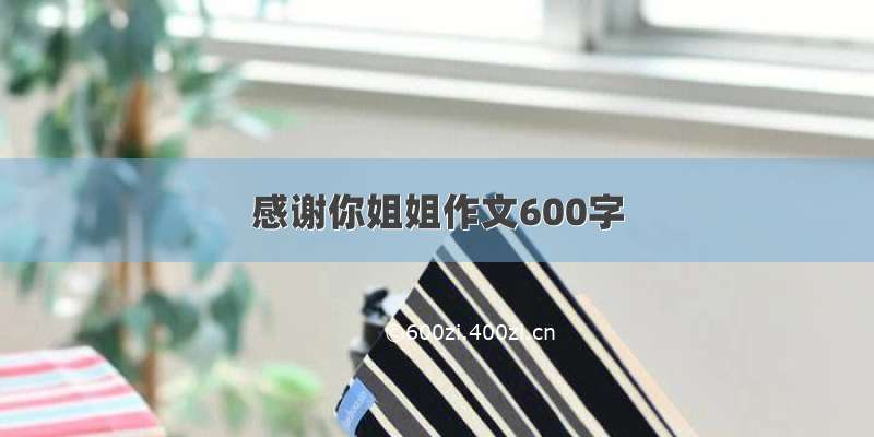 感谢你姐姐作文600字