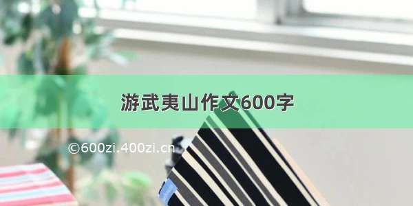 游武夷山作文600字