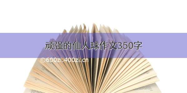 顽强的仙人球作文350字