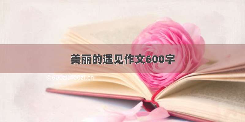 美丽的遇见作文600字